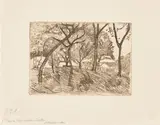 Paula Modersohn-Becker, Landschaft unter Bäumen, Um 1902, Radierung und Kaltnadel auf Japan