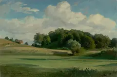 Kormoranswald bei Heringsdorf by Carl Hummel, 1863, Öl auf Leinwand, sold May 2019