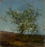 Paul Wilhelm Tubbecke, Blühender Apfelbaum, Öl auf Leinwand, auf Karton aufgezogen