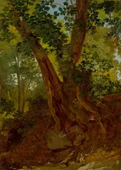 Baumstudie by Deutsch, um 1820 & 30, Öl auf Papier auf Leinwand, sold May 2017