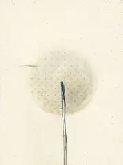 Claire Morgan, nipple, 2012, Aquarell, Bleistift und Stubenfliegenexkremente auf Velin