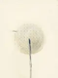 Claire Morgan, nipple, 2012, Aquarell, Bleistift und Stubenfliegenexkremente auf Velin