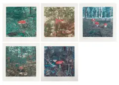 Carsten Höller, Mushrooms, 2004, 12 Blatt: Jeweils Photogravüre auf Somerset-Velin