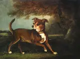 Henry Bernard Chalon, Portrait of a dog in a landscape