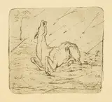 Franz Marc, Sterbendes Reh