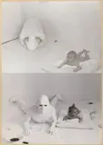 Aktion mit einem Baby, Wien by Günter Brus & Photo: Kurt Kren, 1967, 2 Vintages oder frühe Silbergelatineabzüge, sold Nov 2012
