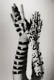 Shirin Neshat, Ohne Titel (in Zusammenarbeit mit Izhar Patkin und Rafael Fuchs)