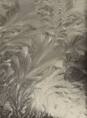 Aenne Biermann, Eisblumen, 1929, Vintage. Silbergelatineabzug. Agfa-Lupex-Papier