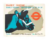 Various Artists, DAIRY SHOW AND SMITHFIELD CLUB CATTLE SHOWS, 1937-1939