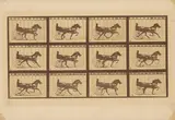 Eadweard Muybridge, 'Abe Edgington' Trotting at a 2:24 Gait over the Palo Alto track, 15 June 1878, aus der Serie „The Horse in Motion