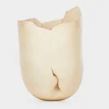 Richard DeVore, Fine large vessel