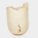 Richard DeVore, Fine large vessel