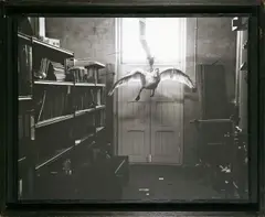 Albin Biblom, Ohne Titel (Schwan) aus: „The Journals of Jacob Mandeville, Journal III: Heaven and its Inhabitants (1962–1965), 2001, Photoarbeit. Silbergelatineabzug, Unikat