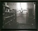 Albin Biblom, Ohne Titel (Schwan) aus: „The Journals of Jacob Mandeville, Journal III: Heaven and its Inhabitants (1962–1965), 2001, Photoarbeit. Silbergelatineabzug, Unikat