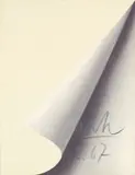 Blattecke by Gerhard Richter, 1967, Farboffset auf granuliertem Halbkarton, sold Jun 2013