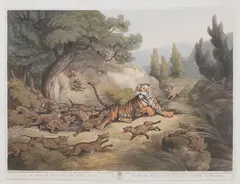 Thomas Williamson, Oriental Field Sports (Abbey Travel II. 427), Four hand-coloured aquatints from the set of forty, 1805-7, engraved by H.Merke and J. and V.Hamble, on Whatman paper