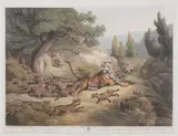 Thomas Williamson, Oriental Field Sports (Abbey Travel II. 427), Four hand-coloured aquatints from the set of forty, 1805-7, engraved by H.Merke and J. and V.Hamble, on Whatman paper