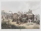 Thomas Williamson, Oriental Field Sports  (Abbey Travel II. 427), Four hand-coloured aquatints from the set of forty, 1805-7, engraved by H.Merke and J. and V.Hamble, on Whatman paper