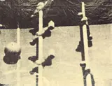 Sigmar Polke, Fernsehbild (Kicker) I