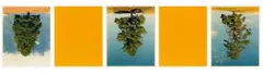 Ponderosa Pines, Princeton B.C./CAT hi-way yellow by Rodney Graham, 1992, Folge von 5 C-Prints, jeweils auf Papier, sold Dec 2016