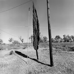 Texas by Lee Friedlander, 1997, Silbergelatineabzug, sold Jun 2015