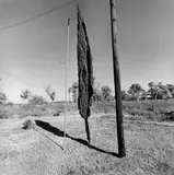 Lee Friedlander, Texas