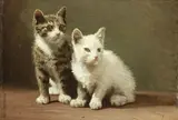 Henriëtte Ronner-Knip, Kittens, oil on board