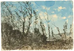 Henri Harpignies, Sträucher in einer Landschaft, 1915, Kohle und Tuschpinsel in Blau auf Bütten