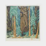 Gustave Baumann, Sequoia Forest
