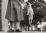 Paris by Elliott Erwitt, 1989, Silbergelatineabzug, sold Nov 2011