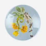 Paul Stankard, Paperweight