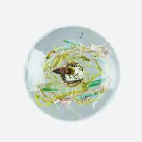 Paul Stankard, Paperweight