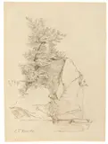 Carl Friedrich von Rumohr, Baumbestandener Felsen, Feder in Braun und Schwarz auf Papier