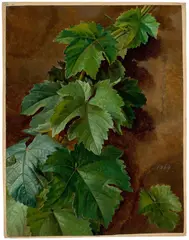 Ferdinand Küss, Weinranken, 1869, Öl auf Papier auf Karton