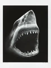 Bruce by Robert Longo, 2011, Pigmentdruck auf Velin, sold Oct 2021