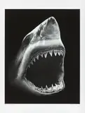 Robert Longo, Bruce, 2011, Pigmentdruck auf Velin