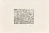 Pablo Picasso, Raphaël et La Fornarina. XXII: Michel-Ange sous le lit; entre Piero Crommelynck, 1968, Radierung auf BFK Rives-Velin