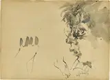 Horst Janssen, Übertreibung“ (Selbstbildnis), 1976, Aquarell und Tuschfeder auf bräunlichem Papier