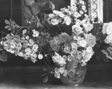 Blumenstilleben. 1950er Jahre by Cecil Beaton, Vintage. Silbergelatineabzug, sold Nov 2007
