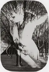 Franz Roh, Ohne Titel (Frauenakt in Parklandschaft, Daphne II), Um 1922, Vintage. Bromsilbergelatineabzug mit abgerundeten Ecken, Sandwich-Verfahren