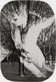Franz Roh, Ohne Titel (Frauenakt in Parklandschaft, Daphne II), Um 1922, Vintage. Bromsilbergelatineabzug mit abgerundeten Ecken, Sandwich-Verfahren
