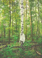 Daniel Josefsohn, Aus der Installation „Es wird alles gut Mutter, 2009, Inkjet-Print auf Leinwand