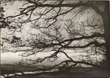 August Sander, Rheinlandschaft. 1930er–Jahre, Vintage. Silbergelatineabzug