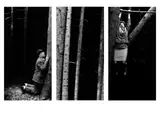 Transzendentaler Konstruktivismus / Im Wald“ (Vorzugsausgabe) by Anna & Bernhard Johannes Blume, 1995, Buch mit 3 beiliegenden Silbergelatineabzügen, 1995, aus der Sequenz „Gebet im Wald“, 1990 –1991. Je PE-Papier, sold Jun 2015