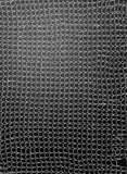 Ohne Titel (Netz). 1950er Jahre by Otto Maximilian Umbehr, Vintage. Silbergelatineabzug eines Photogramms. Agfa-Brovira-Papier, sold Jun 2015