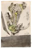 Horst Janssen, Iris, 1978, Aquarell, Silberfarbe und Feder in Schwarz auf Bütten