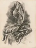 Study of Textures by George Grosz, 1937, Kohle auf Bütten (Wasserzeichen: MICHALLET FRANCE), sold Nov 2015
