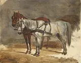 Johann Adam Klein, Zwei Pferde, Um 1830, Öl über Bleistift auf festem Bütten