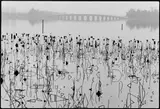 Kun Ming Lake, Summerpalace, Beijing by René Burri, 1964, Späterer Silbergelatineabzug, sold May 2014