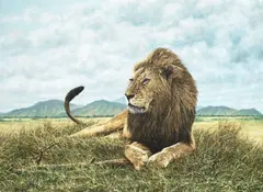 Lion in the savannah by Simon Combes, oil on canvas, offered Apr 2016